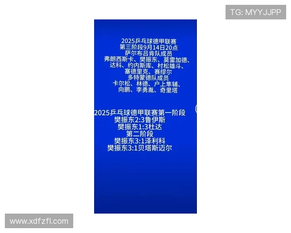 2025赛季德甲联赛最新排名分析与各队表现趋势解析
