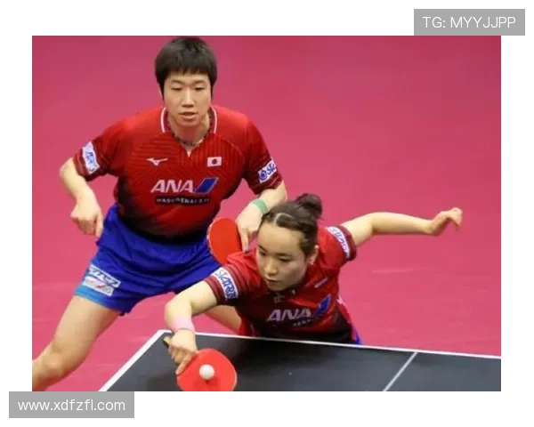 深度探访乒乓球德甲俱乐部官网呈现的赛事资讯与球员风采