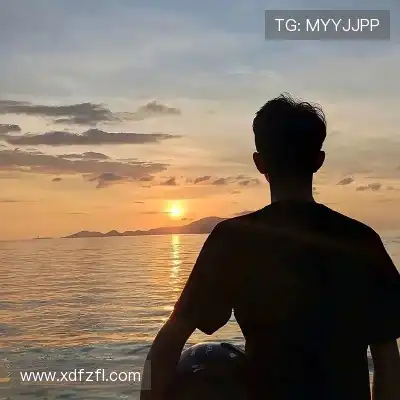 甄歌寒